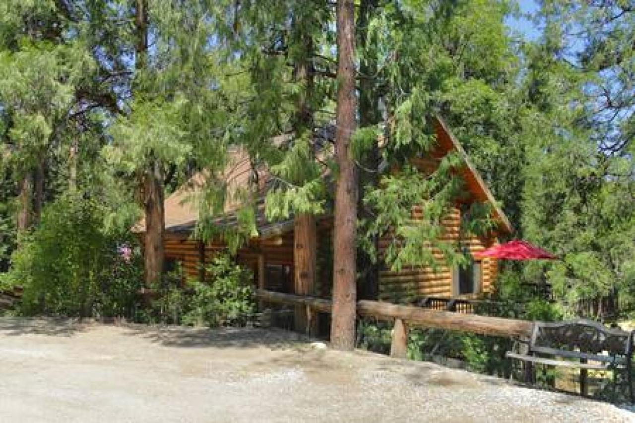 Holiday home Eagles Nest - Natural Log With