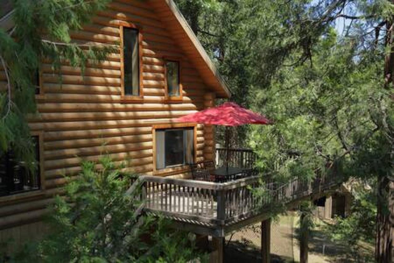 Eagles Nest - Natural Log With
